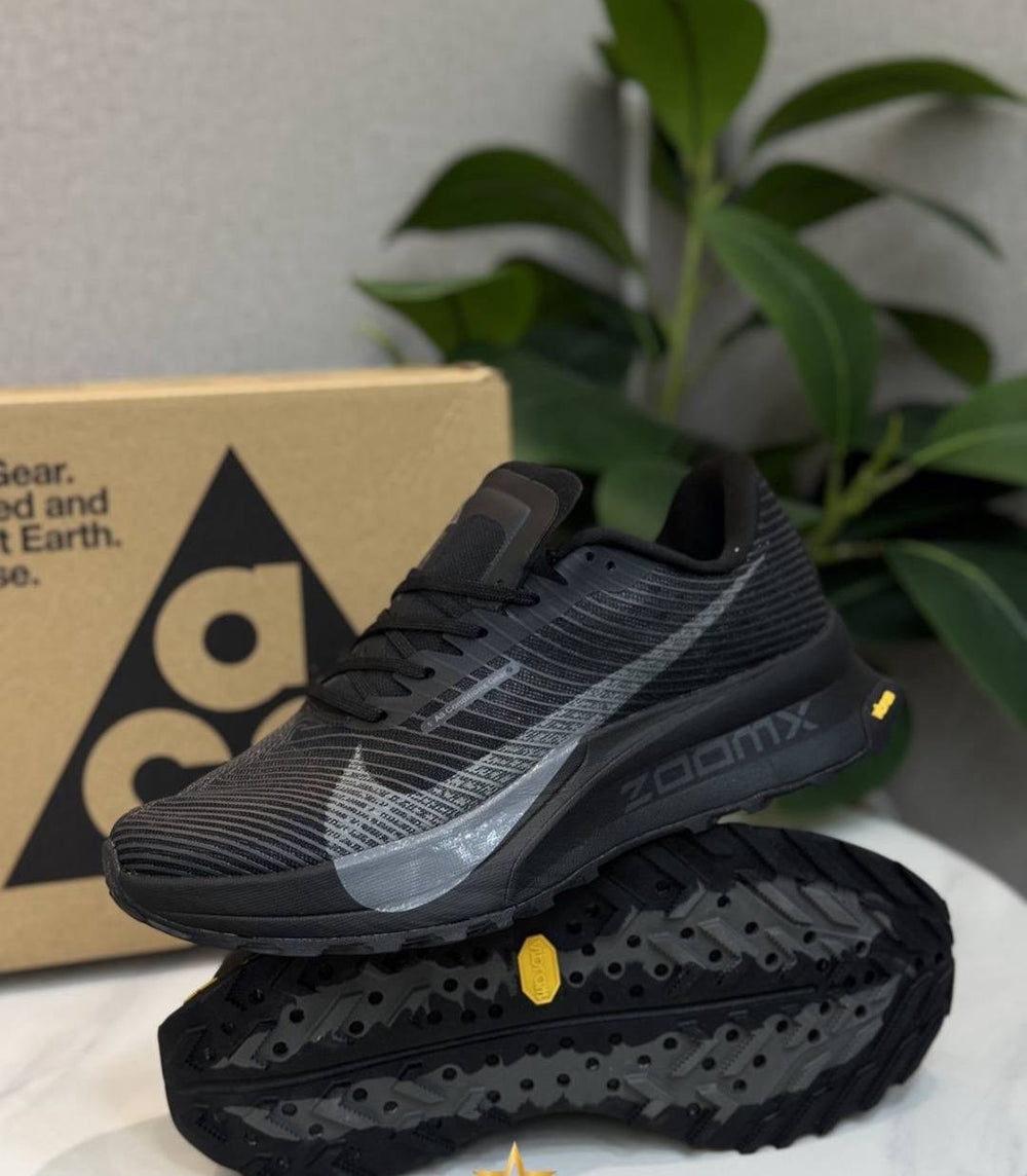 NK® Air Zoom Pegasus 39 "Black/Anthracite"