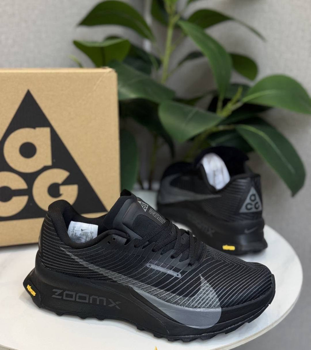 NK® Air Zoom Pegasus 39 "Black/Anthracite"