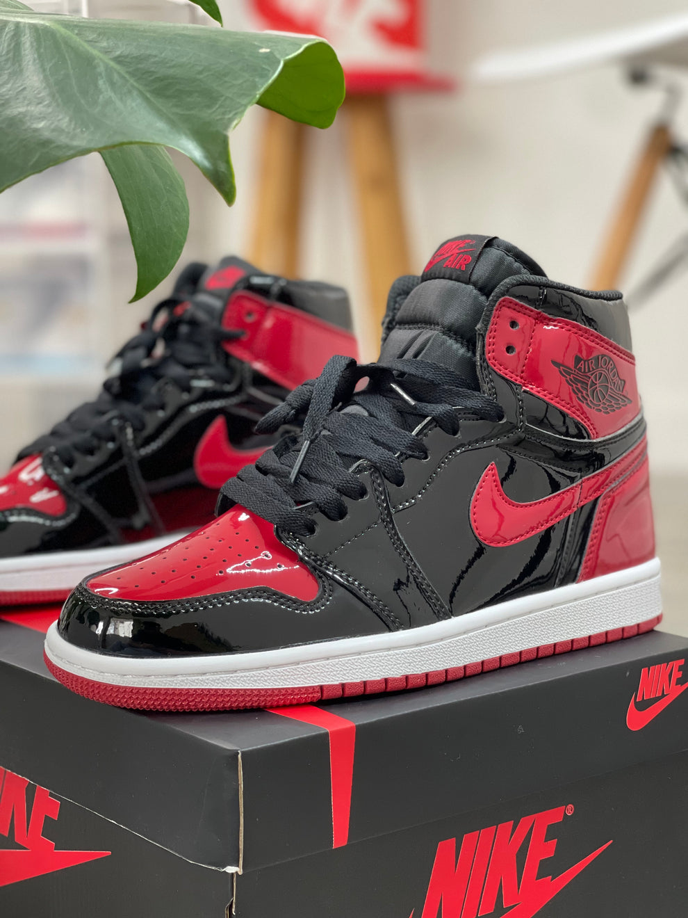 NK® 1 High OG "Patent Bred"