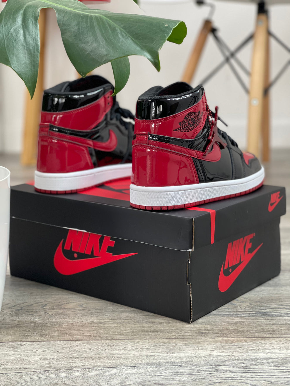 NK® 1 High OG "Patent Bred"