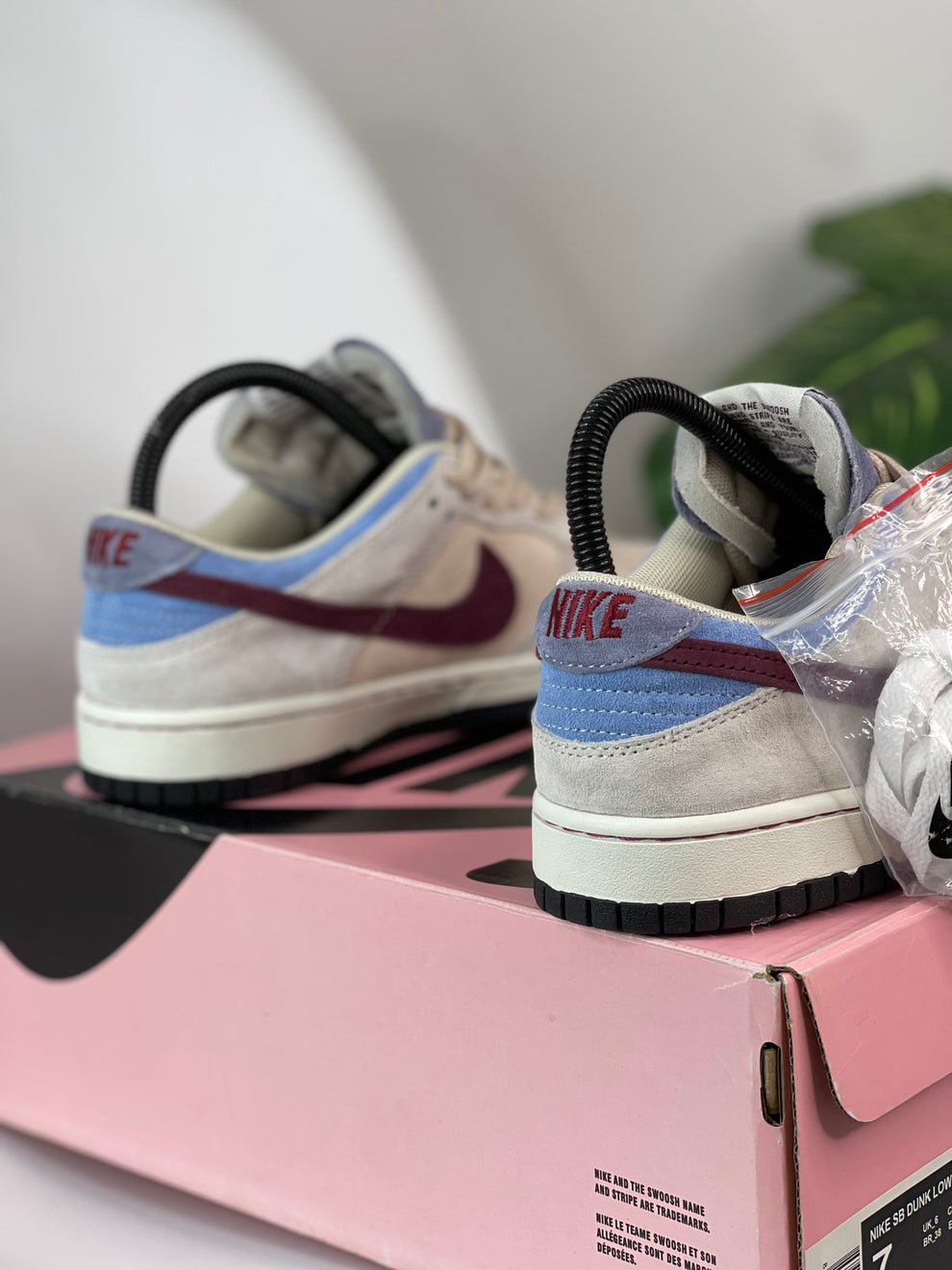 NK® SB Dunk Low Pro "Trocadéro Gardens"