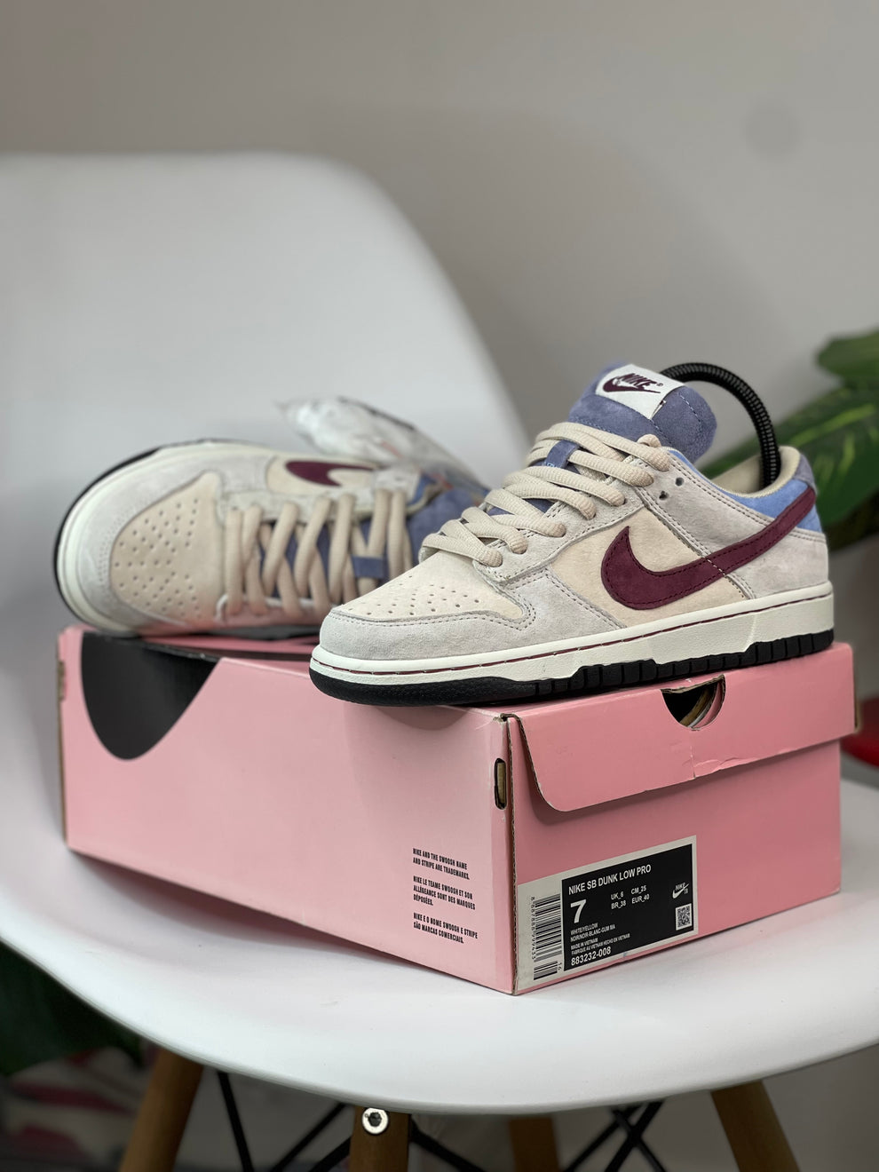NK® SB Dunk Low Pro "Trocadéro Gardens"