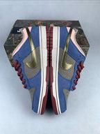 NK® Dunk Low SB "Street Hawker"