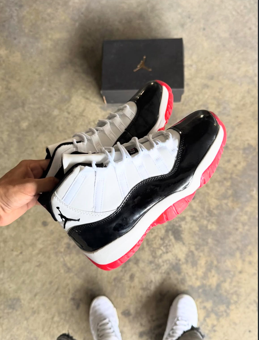 JRDN® 11 Retro "Concord Bred"