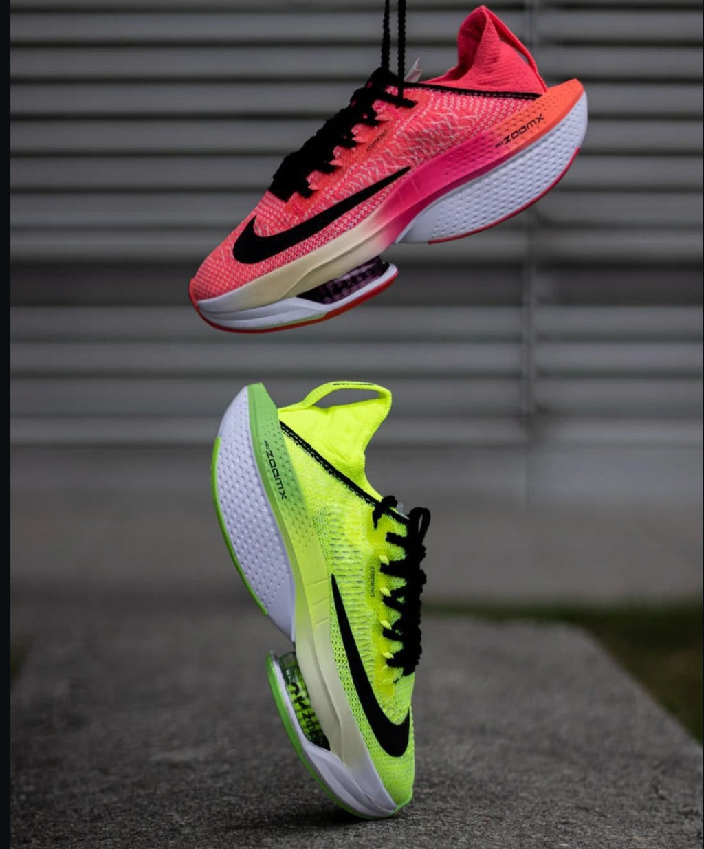 NK® Alphafly Next% "Volt / Orange"