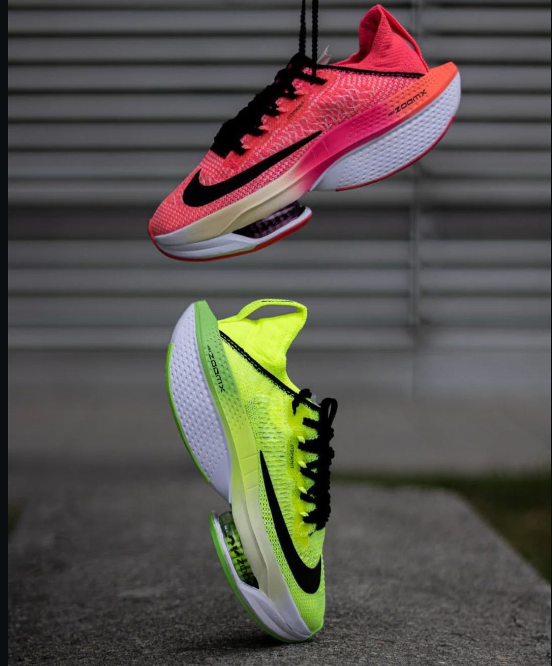 NK® Alphafly Next% "Volt / Orange"